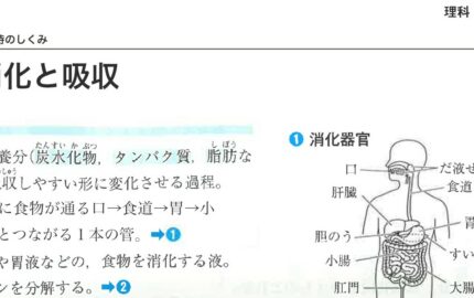 中学２年生２学期の中間テスト予想問題と 結果の出る勉強法 24